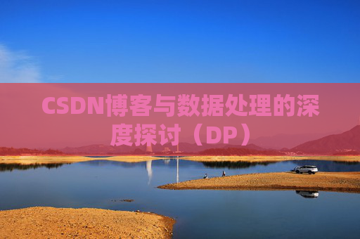 CSDN博客与数据处理的深度探讨（DP）